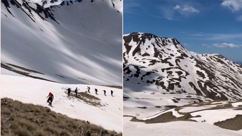 Magjia e dimrit në malin e Gramozit, mbulohet nga 'velloja e bardhë' e dëborës (VIDEO)