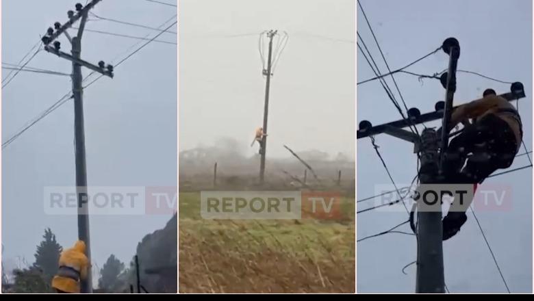 VIDEO/ Mes erës së fortë dhe dëborës, elektriçisti në Lezhë sfidon kushtet atmosferike për të rikthyer energjinë 