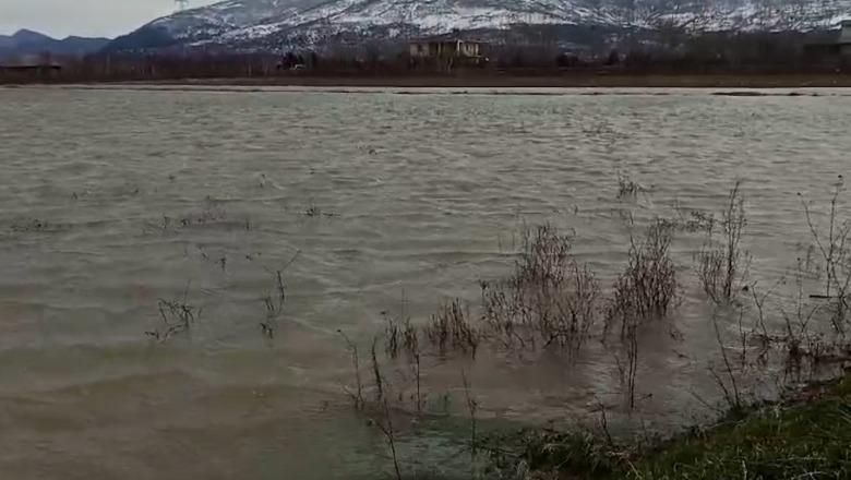 Moti i keq/ Dhjetra hektarë tokë bujqësore e përmbytur në Kurbin