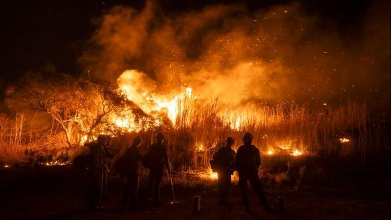 Zjarret në Los Anxhelos, bilanci i viktimave shkon në 25! Është djegur 37 mijë hektarë tokë