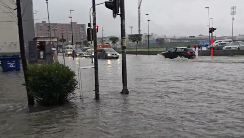 Ministria e Mbrojtjes: Situata më problematike në Shkozet, 40 shtëpi të përmbytura, shpëtohen 4 fëmijë të bllokuar në një furgon shkolle 