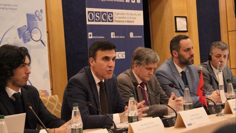 Rikuperimi i aseteve të paligjshme, ambasadori Tarran: Forcojmë bashkëpunimin, të shtohen përpjekjet në luftimin e krimit të organizuar