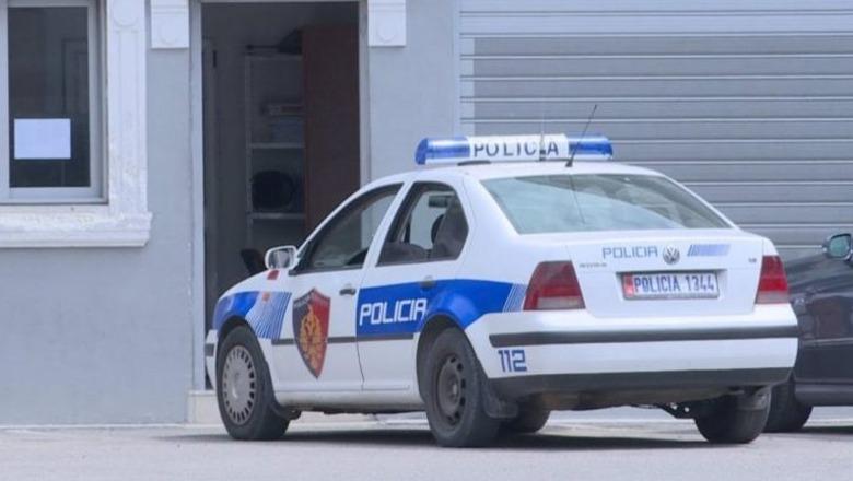 Pogradec/ Kërcënuan dhe dhunuan policin jashtë shërbimit, arrestohen dy vëllezërit  