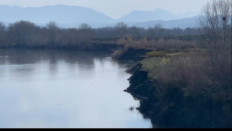  ‘Po nuk u vunë pritat, Vjosa do dalë te hekurudha’, erozioni lumor ‘gllabëron’ 60 hektarë tokë në Novoselë të Vlorës