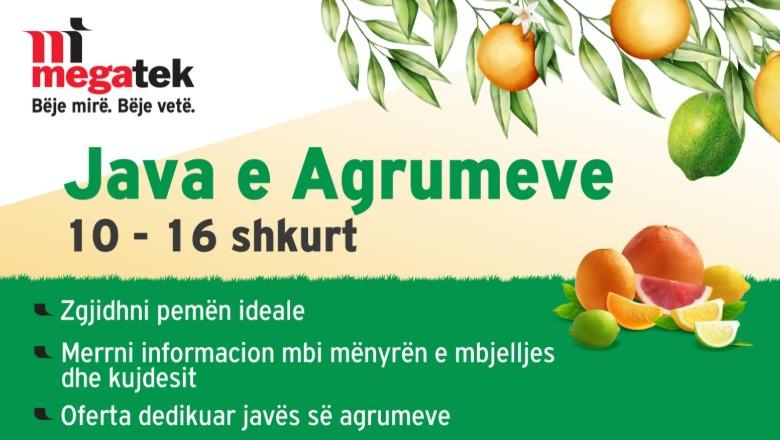 Java e Agrumeve në Megatek/ Freskia dhe kujdesi në çdo shtëpi