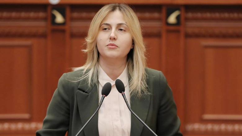 Zhupa: Gjykata Kushtetuese refuzoi t'i jepte kushtetueshmëri ligjit të Akademisë së Shkencave, Gjinushi dhe Tole, produkte të puçit parlamentar