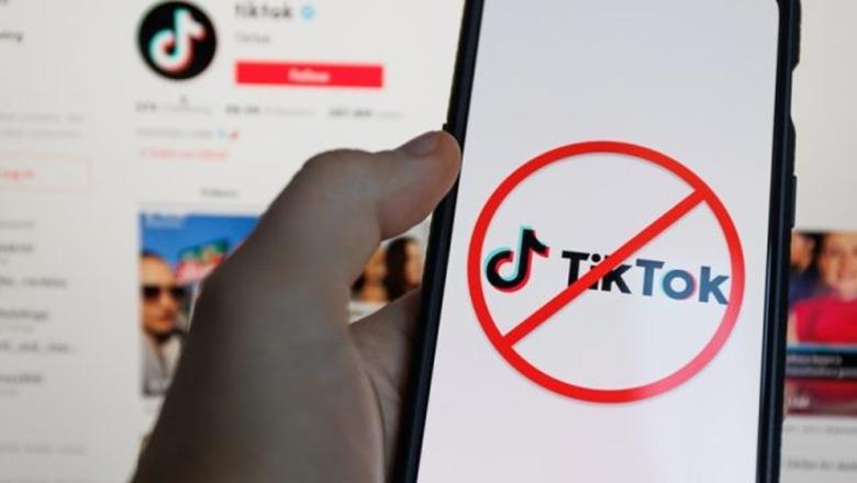 TikTok do mbyllet për 1 vit në Shqipëri, ndalimi nis pas 1 jave! Rama: Do vendosim filtra për sigurinë e fëmijëve, kompania së shpejti në Shqipëri me planin e masave (VIDEO)