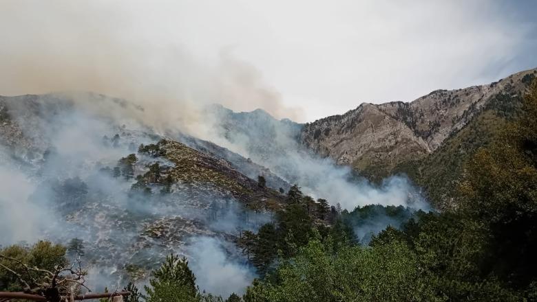 Zjarr në Dukat të Vlorës / Dyshohet për zjarrvënie të qëllimshme, zjarrfikëset mbërrijnë në vendngjarje