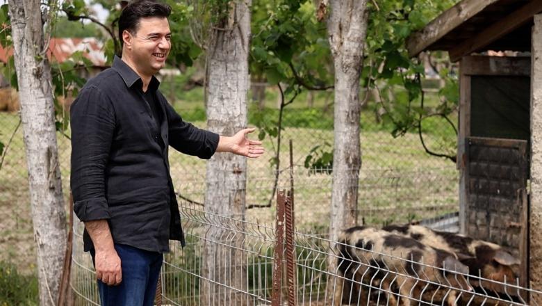 Basha mesazh qytetarëve: Nëse votoni 5 dhe 1 do zhgërryheni si derra, vota për numrin 4 ju nxjerr nga lluca dhe kthen paratë në xhepat tuaja