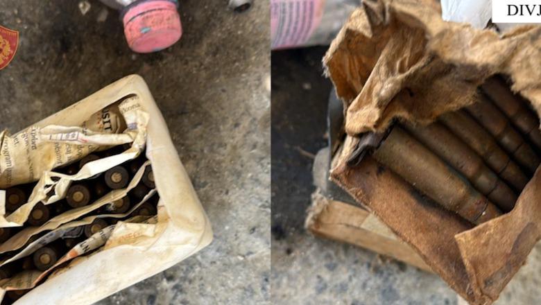 Divjakë/ Dhunoi të birin, policia arreston 70-vjeçarin! I gjenden në banesë 138 fishekë, 119 kapsolla dhe 9 karikatorë