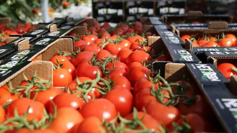 Tatimet, fushatë informuese për formalizimin e tregut bujqësor dhe blegtoral