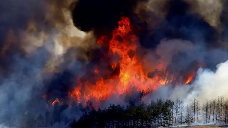 Zjarret në Bullgari, mijëra hektarë tokë në flakë, shtëpi të shkrumbuara e njerëz të pastrehë