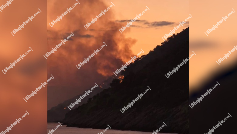 Vlorë/ Zjarr i madh në Shën Andrea, forcat zjarrfikëse mbërrijnë në vendngjarje (VIDEO)