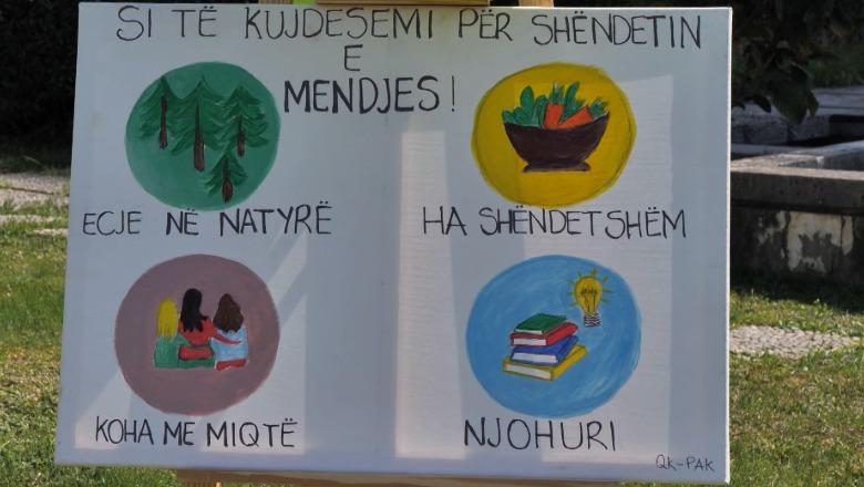 Stigma ndaj shëndetit mendor, pengesë për trajtimin herët! Ekspertët: Prindërit nuk pranojnë diagnostikimin e fëmijëve