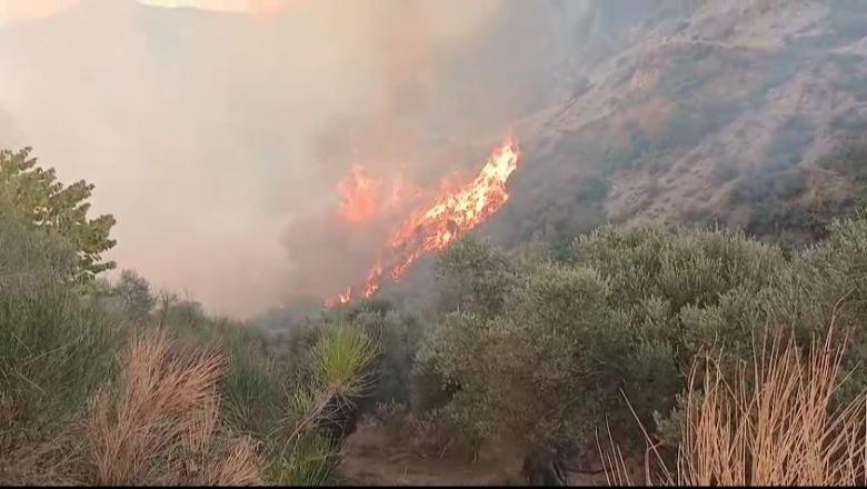 Bilanci tragjik i zjarrit në Gramsh/ Përfundon vlerësimi i dëmeve, fatura shkon në 310 mln euro