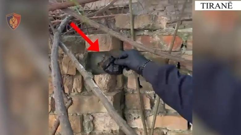 Shisnin drogë nëpër Tiranë, pranga dy të rinjve! Njëri e fshehu kanabisin në parkim (VIDEO)