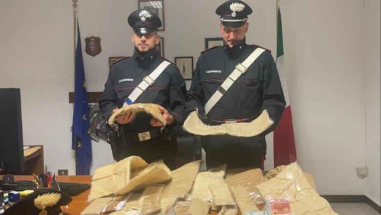 I dënuar me 5 vite burg pasi iu gjet 2.5 kg kokainë në shtëpi, arrestohet i riu shqiptar në Itali 