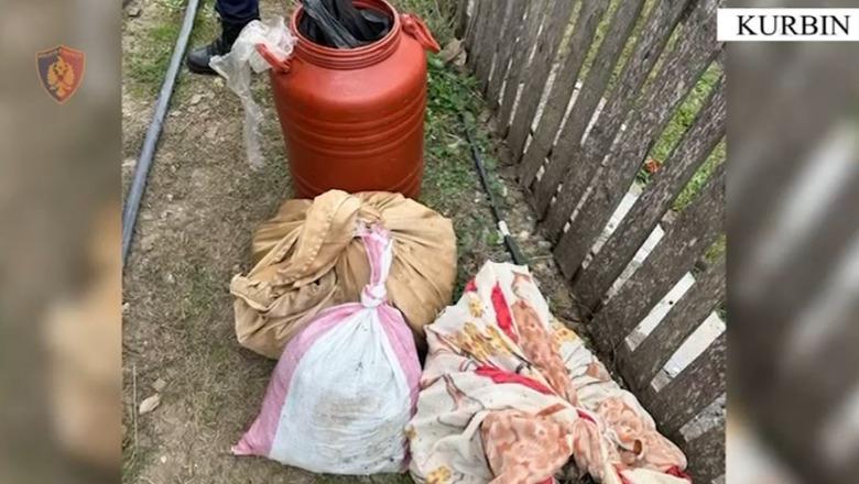 Kurbin/ Iu gjet 7 kg kanabis në banesë, pranga 62-vjeçarit! E kishte fshehur në një fuçi uji (EMRI+VIDEO)