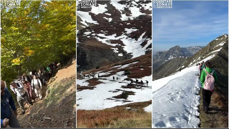 Rama ndan pamjet: Shtigjet magjike të Lëpushës drejt Majës së Vajushës, një nga itineraret më të bukura të Parkut Kombëtar të Alpeve