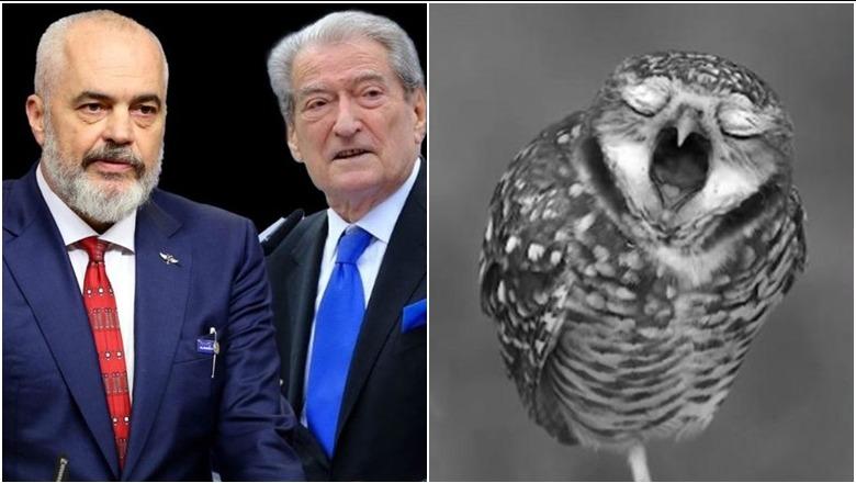 ‘Ti Bufi…’, ‘ti Antikrisht…’, përplasja Rama-Berisha ‘skandalizon’ vëzhguesit e OSBE-ODIHR