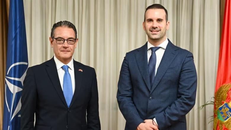 Mali i Zi vendos vizat për shtetasit turq, pas një sërë arrestimesh në Podgoricë