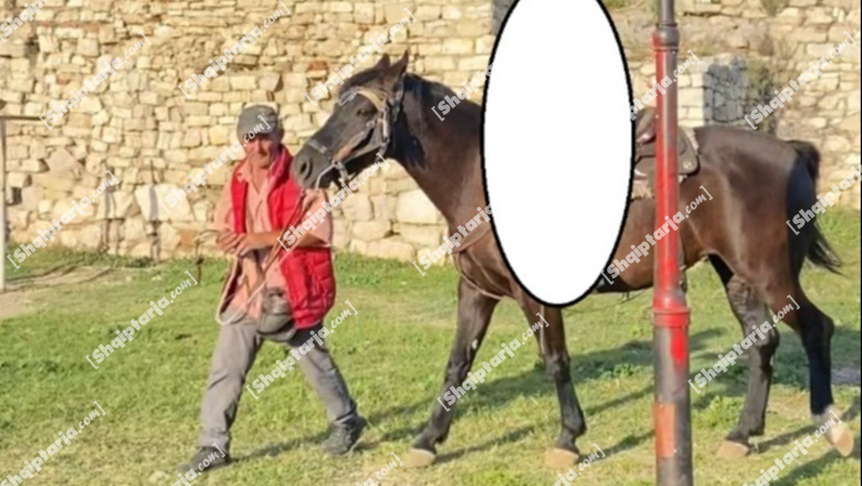 Vrau me thikë 42-vjeçarin në Berat, zbardhet dëshmia e autorit: I thashë mos e prek kalin se është i acaruar, por më shau nga familja 