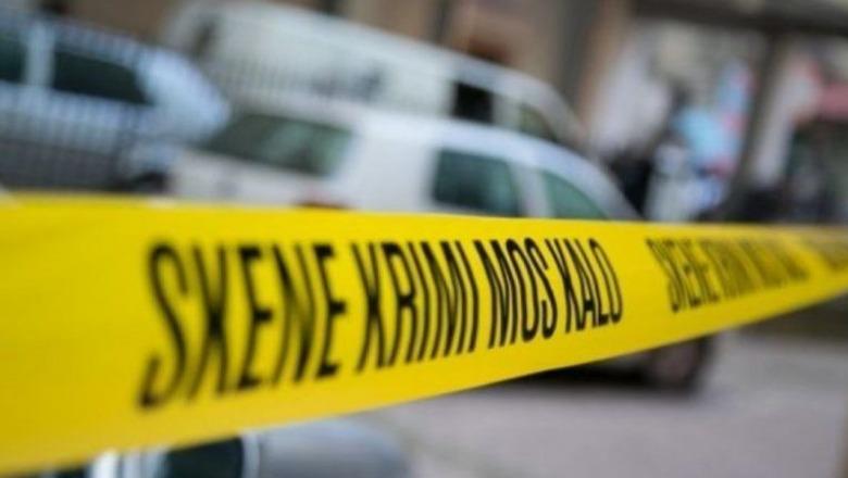 Namir Lapardhaja: Kur dhuna bëhet model