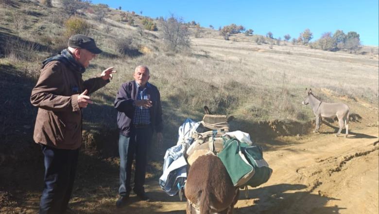 Edison Ypi: Tre shkaba, dy banorë