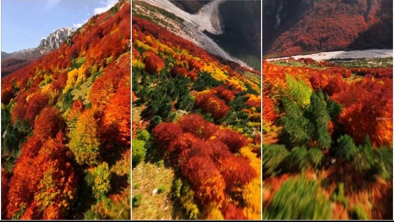 Nën petkun e artë të vjeshtës, pamjet mahnitëse nga Valbona (VIDEO)