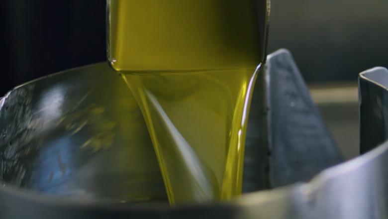 Shtrenjtohet vaji i ullirit në Elbasan, shkon 900 lek për litër! Fermerët ankohen për prodhim të ulët