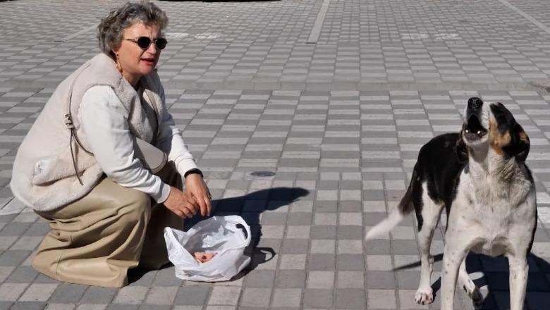 Një nga Ne  15 vite punonjëse sociale  Mimoza Zekaj suprizon me rutinën e saj  Kujdesem për kafshët e rrugës  bëj palestër dhe ngjis malet