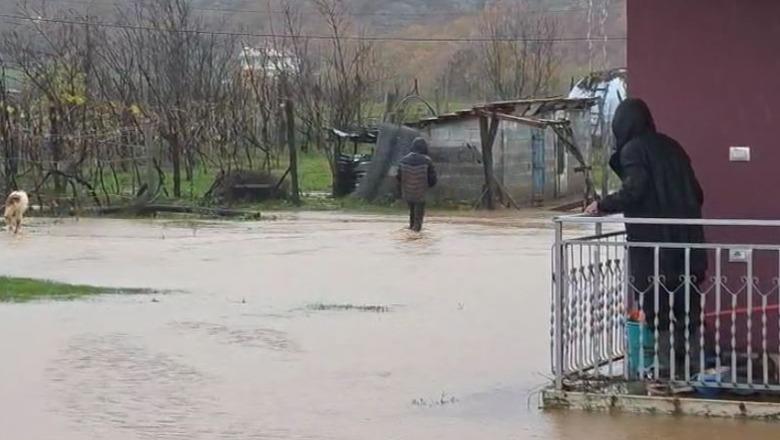 Reshjet e shiut/ Dibra dhe Lezha qarqet më të prekura, ndërprerje energjie dhe banesa të përmbytura 