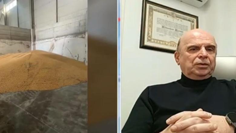 Bllokimi i misrit serb me aflatoksinë  Edmond Panariti për Report Tv  Lëndë e rrezikshme  mund të transmetohet nga kafsha te njeriu