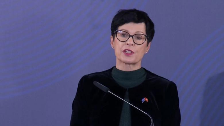 Alteo Hysi  Një ndjesë shqiptare për Marta Kos  gruan e kryqëzuar harbutçe nga PD
