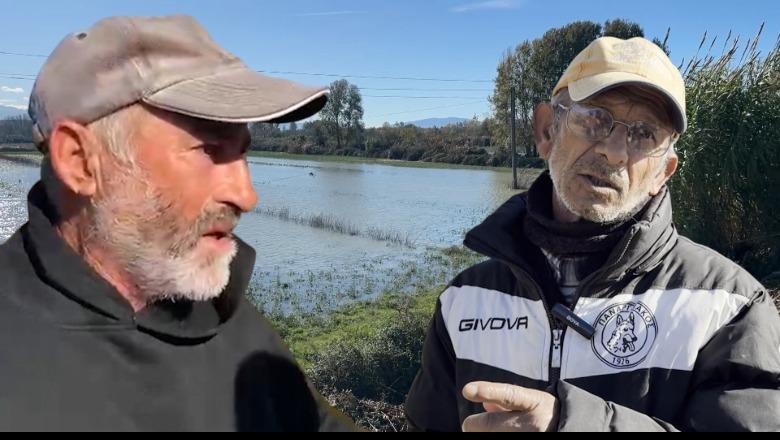 Përmbytjet  Vjosa dëmtoi 11 banesat e romëve në Novoselë  Asnjë ndihmë  Rreth 80 ha tokë bujqësore mbeten nën ujë në Çerven të Fierit