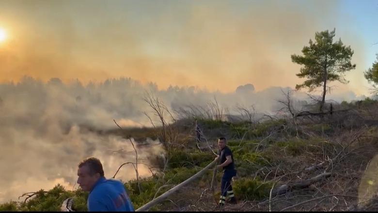 Krimet mjedisore/ Raporti i REC: Mbeten pa ndëshkim, mbi 70% e procedimeve penale nuk nisin fare