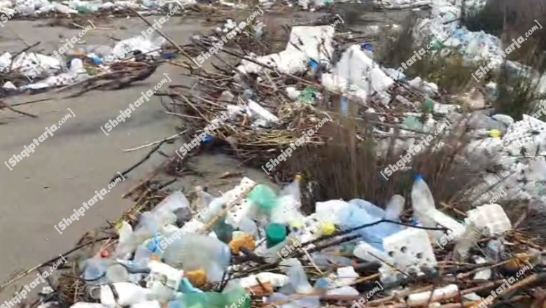 Shirat me intensitet të lartë kthejnë grykëderdhjen e Semanit në  kosh plehrash   VIDEO 