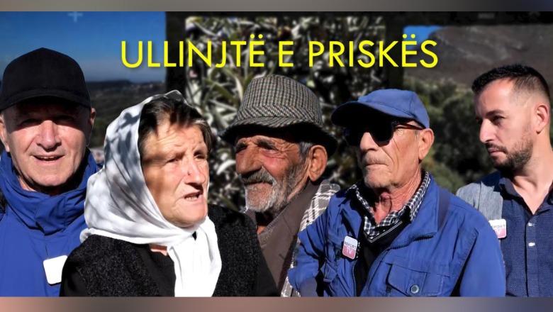 Veri-Jug/ Priska mijëravjeçare zbardh ‘sekretet’ e ullinjve më të vjetër të Shqipërisë