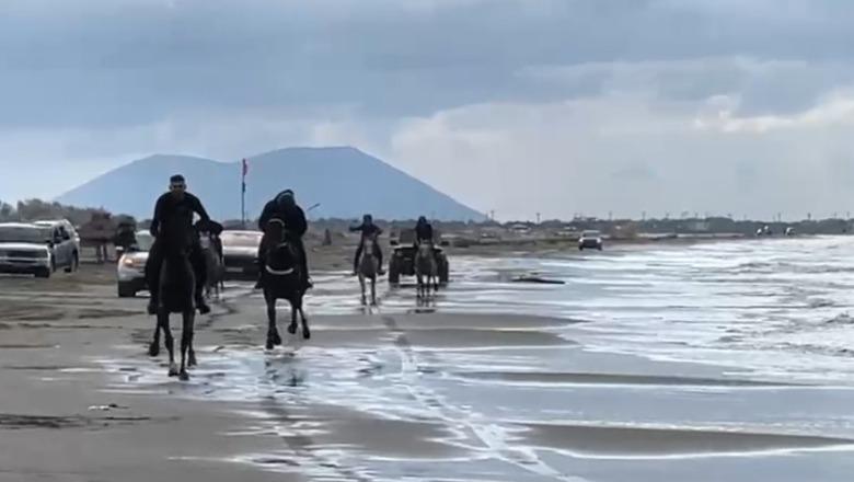 Në nder të Festës së Flamurit  zhvillohet në Darëzezë Gara Kombëtare me Kuaj 2025  ja renditja e garuesve në 3 disiplina