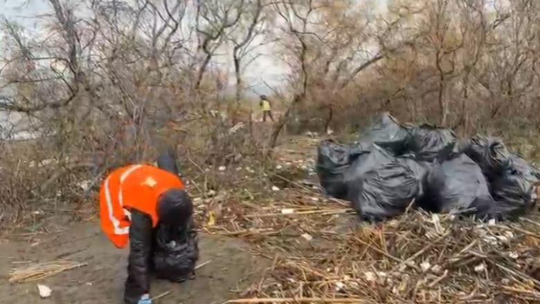 Lezhë  Pas denoncimit të Report Tv  nis aksioni i pastrimit në bregdetin e Kune Shëngjinit i ndotur nga prurjet e shumta të Drinit