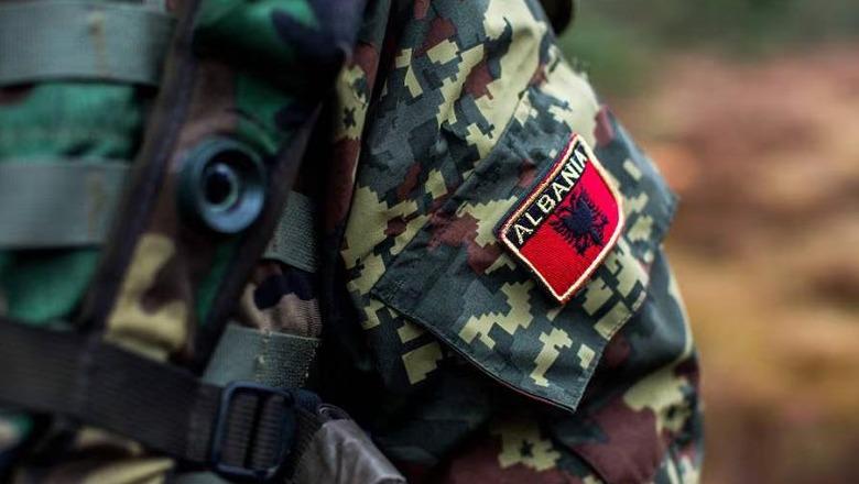 113 vite nga themelimi i Forcave të Armatosura  Begaj  Nderojmë shërbimin e tyre  Pjesëmarrja në misione të NATO s  BE së dhe OKB së na bën krenarë