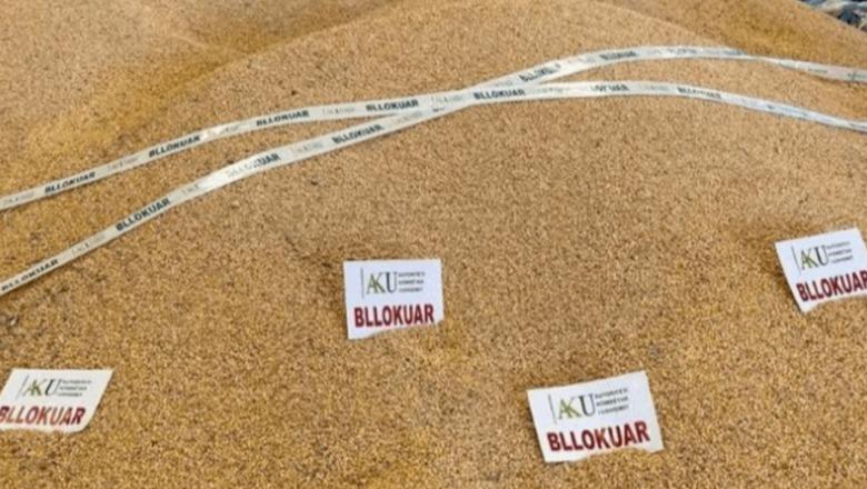 AKU bllokon 51 tonë misër që vinte nga Serbia  Ishin me Aflatoksinë  Gjysma do asgjësohet në vendin tonë  pjesa tjetër do kthehet në vendin e origjinës