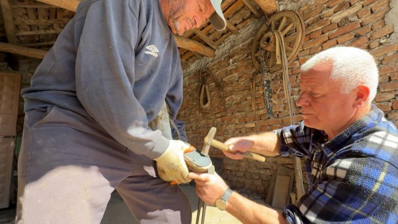 Personazh/ 46 vite punë, nga patkojtë e buallicave deri te kuajt e garave, rrëfehet Gurkazi Xhemali, nallbani i fundit i Maliqit