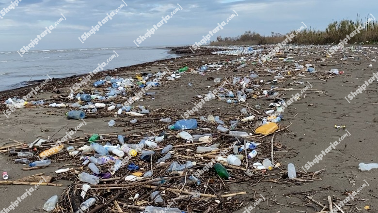 Katastrofë mjedisore në Divjakë dhe Vilëbashtovë! Plazhet mbushen me mbetjet që shkarkoi lumi Shkumbin