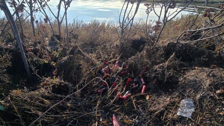 Gjuetia e paligjshme, shtohen rastet e shpendëve të vrarë në Lagunën e Nartës