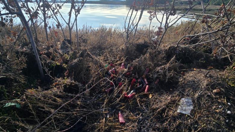 Vlorë/ Gjuetia e paligjshme, shtohen rastet e shpendëve të vrarë në Lagunën e Nartës