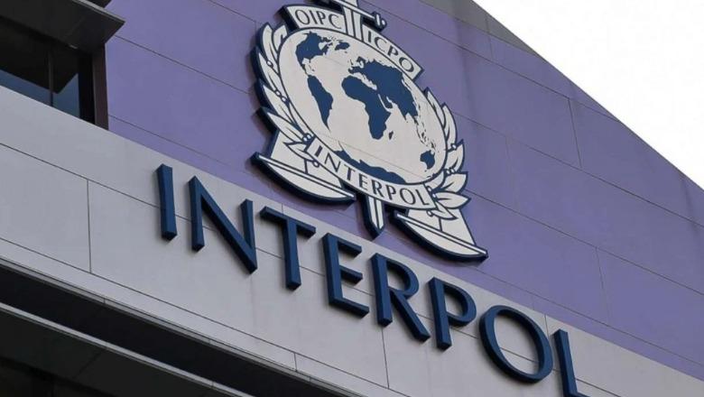 Në kërkim për kultivim kanabisi në Lezhë, arrestohet në Mal të Zi 31-vjeçari! Ekstradohet në Shqipëri