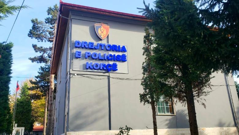 Policia kufitare në Korçë godet kontrabandën dhe krimet mjedisore, procedohen 3 persona