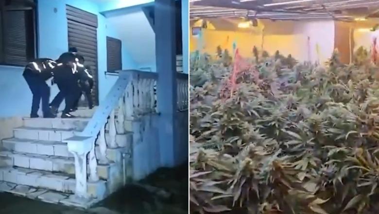 Shkodër/ Mori me qira banesën dhe e ktheu në “shtëpi bari”, kapet në befasi 22-vjeçari! Ndalohet punonjësi i OSHEE-së, dy të tjerë nën hetim (VIDEO)