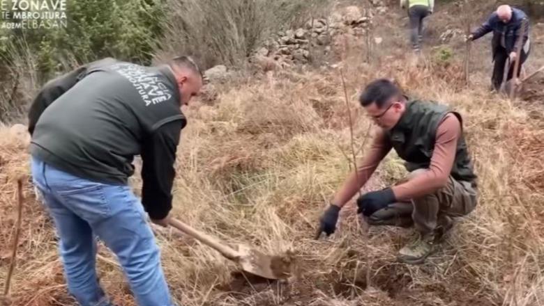 Mbillen fidanë të rinj në Parkun Kombëtar të Shebenikut